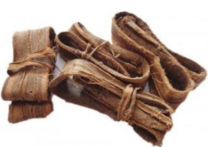 اخروٹ Walnut Juglans regia 