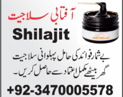 syed Abdulwahab shah