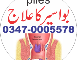 syed Abdulwahab shah