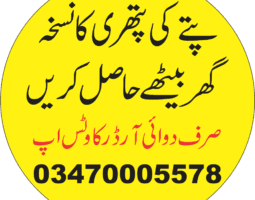 syed Abdulwahab shah