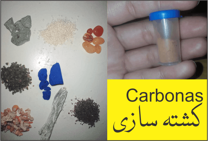 کشتہ سازی (CARBONAS )