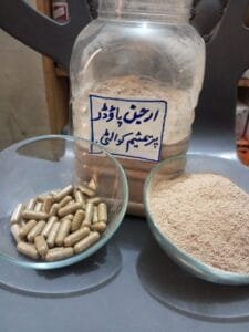 ارجن Arjun Terminalia Arjuna 6