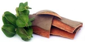 ارجن Arjun Terminalia