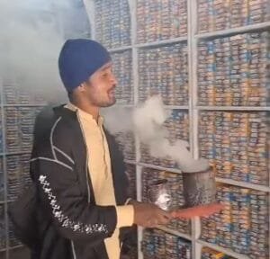 اسپند حرمل ہرمل syrian rue peganum harmala