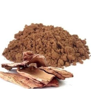 اشوکا Asoca Ashoka