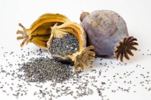 افیون Opium