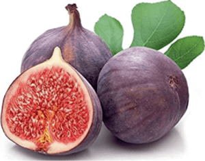 انجیر Fig 