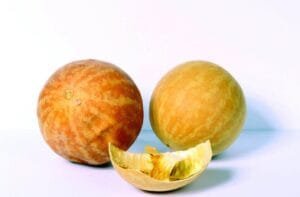اندرائن تمہ Colocynth