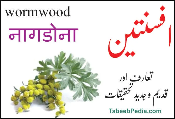 افسنتین