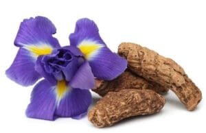 ایرسہ Siberian iris