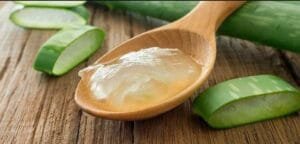 ایلو ویرا एलोविरा