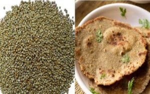 باجرہ Millet बाजरा
