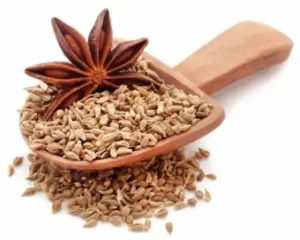 بادیان خطائی Star anise