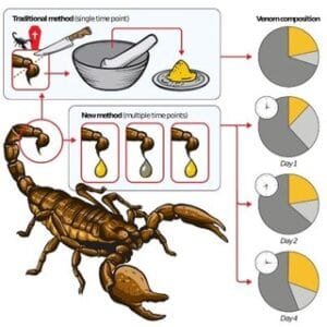 بچھو Scorpion बिच्छू