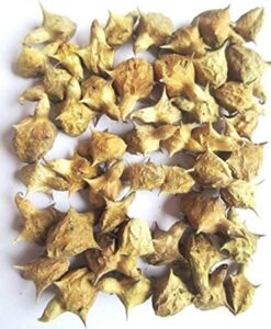 بوٹی فرید بڑا گوکھرو large caltrops pedalium murex बड़े गोखरू