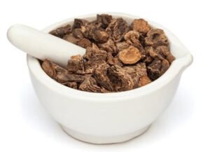 بہمن سرخ meadow sage salvia haematodes बहमन सरख