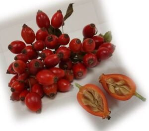 روز ہپ آئل Rosehip Oil गुलाब का तेल