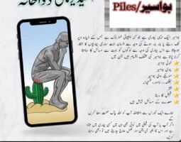 Syed Mujahid hussain