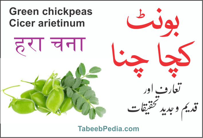 بونٹ / کچا چنا