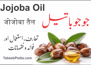 جوجوبا کا تیل