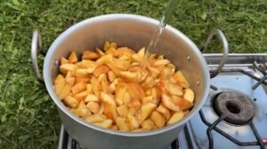 بہی دانہ Quince Cydonia oblonga श्रीफल