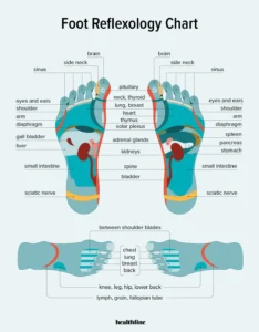 ریفلیکسولوجی Reflexology