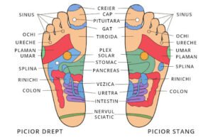 سوجوک تھراپی Su Jok Therapy