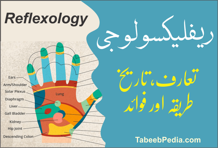 ریفلیکسولوجی Reflexology