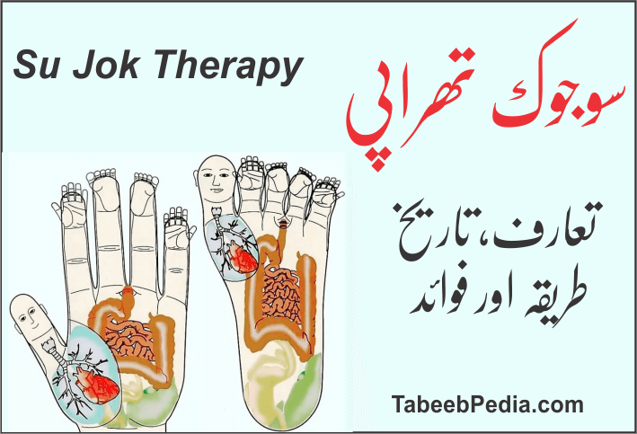 سوجوک تھراپی Su Jok Therapy
