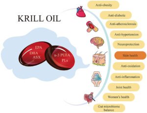 کریل آئل (Krill Oil)