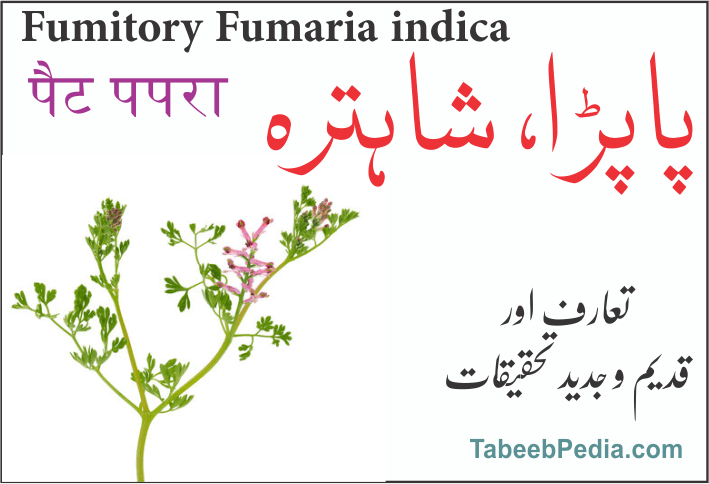 پاپڑا شاہترہ