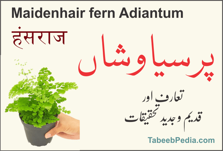 پرسیاوشاں / ہنسراج