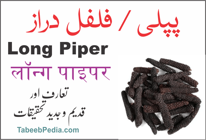 پپلی / فلفل دراز