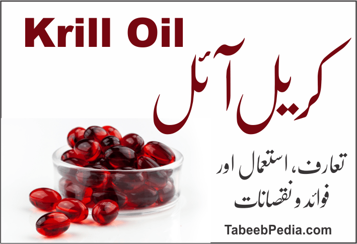 کریل آئل (Krill Oil) کے فوائد