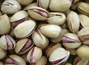 پستہ مغز pistachio pistacia vera पिस्ता नट्स