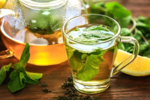 پودینہ Mint Mentha spp पुदीना
