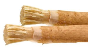 پیلو مسواک درخت Real Mustard Tree Salvadora persica पीला टूथब्रश