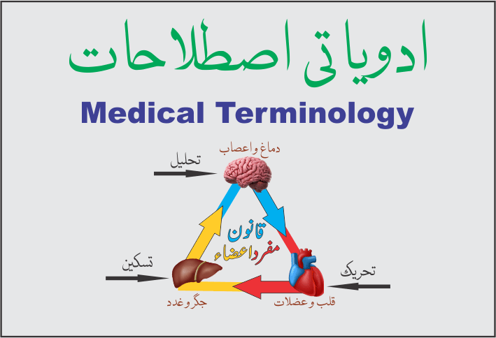 ادویاتی اصطلاحات