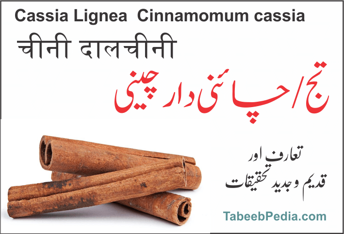 تج / چائنہ دارچینی