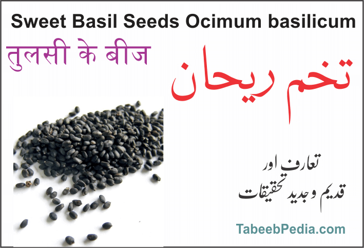 تخم ریحان / نیاز بو