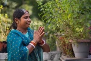 تلسی Holy Basil Ocimum tenuiflorum seeds तुलसी