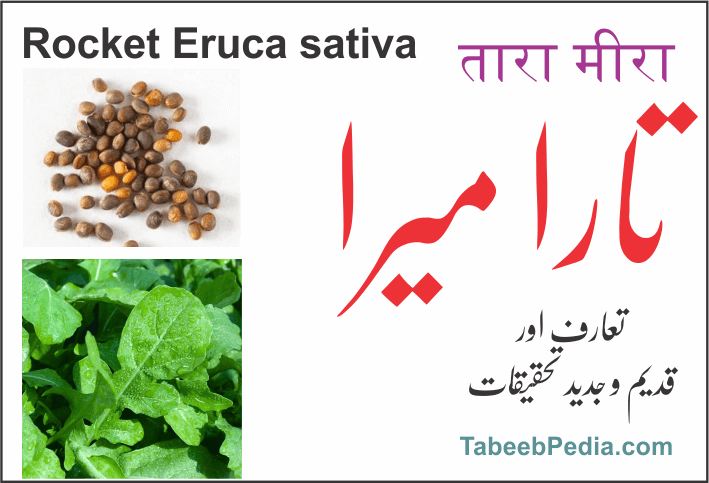 تارا میرا / ترمراہ