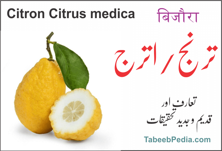 ترنج یا اترج