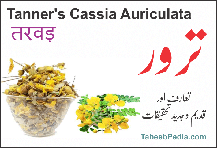 ترور / اڑوس