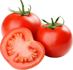 ٹماٹر Tomato Solanum lycopersicum टमाटर