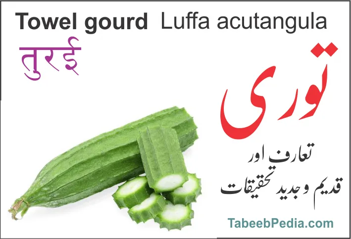 توری