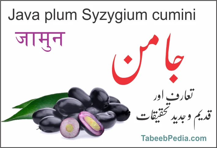جامن