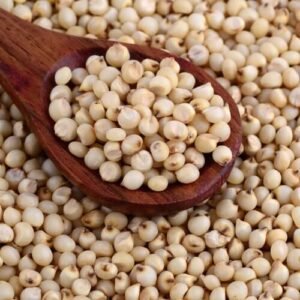جوار Jowar Sorghum ज्वार