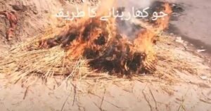 جوکھار Potash जवाखार