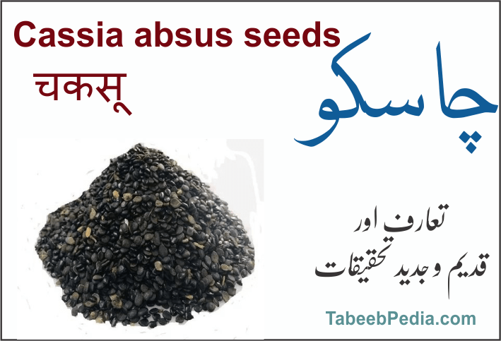 چاسکو / چاکسو